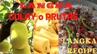 JACKFRUITprutas o gulay gulay na langka recipewith crabletsbimbo ka vlogsamazingQuezon prov [upl. by Mohandis525]