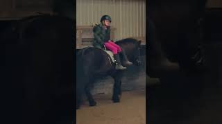 Gymnastik på heste 🦄 gymmotivation gymworkout heste horse pony riding horseriding funny [upl. by Thorlie665]