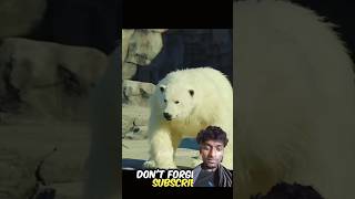 This is fake zooshorts shortsfeed zoo animals [upl. by Tjaden411]