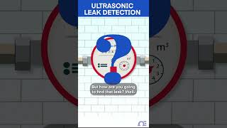 Find a Leak Using An Ultrasonic Flow Meter [upl. by Chessy766]