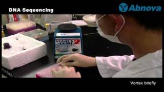 DNA Sequencing [upl. by Itin]