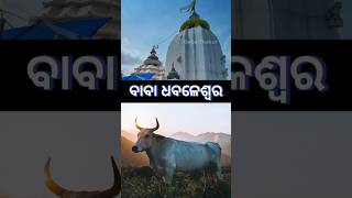 ବାବା ଧବଳେଶ୍ୱର ମନ୍ଦିର  Baba Dhabaleswar Temple  Sandeep Ojha vlogs Odisha vlogs [upl. by Leibarg]