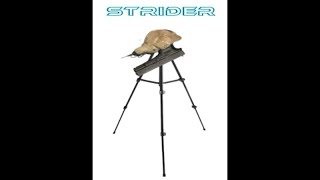 The Ultimate Guide to Conquering the Combine Tripod aka the Strider from HalfLife 2 [upl. by Natrav]