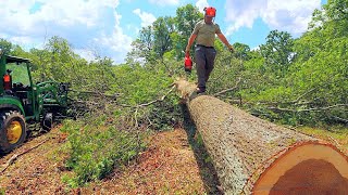 4000 Pound Oak Log on the Woodland Mills HM130 [upl. by Rakel]