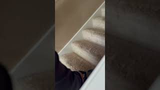 Puyallup Carpet Cleaner Cleaning Stairs In Puyallup WA carpetcleanernearme cleaningcarpet shorts [upl. by Garzon]