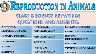 Keywords amp Exercises Class 8 Science Ch 9 REPRODUCTION IN ANIMALS [upl. by Aiuqram]