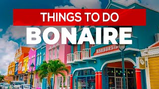 Things to do in Bonaire [upl. by Eimat432]