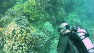 SCUBA Adventure with Lahaina Divers Maui Hawaii [upl. by Lyret]