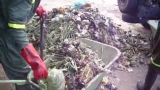 Our Organic Waste Recycling Process The making of JV CompSoil [upl. by Noloc]