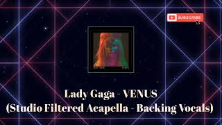 Lady Gaga  VENUS Studio Filtered Acapella  Backing Vocals [upl. by Ssilb]