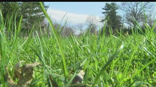 Local experts say number of tick bites tickborne diseases on the rise [upl. by Nudnarb]