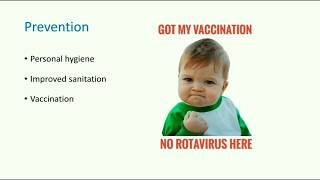 Rotavirus • Structure Replication Pathogenesis Vaccines ✓ Systemic Virology  Microbiology [upl. by Luella]