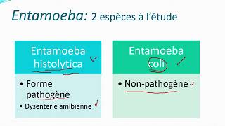 Chapitre 10 Parasitologie partie 2 Les protozoaires [upl. by Adnav659]