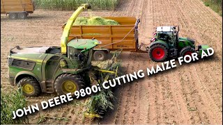 4Kᵁᴴᴰ Harvest 2024 Chopping maize with a John Deere 9800i forager amp Fendt JD JCB Richard Western [upl. by Sefton640]