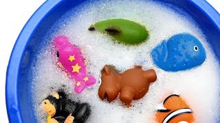 Learn Sea Animal Names and Zoo Animals Names Education Video Toys For Kids [upl. by Annissa]