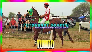 TUNGO Clorinda Formosa 08 09 2024 [upl. by Hook]