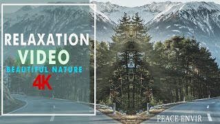 4K Beautiful Nature Music for Stress Relief  Ambient Scene Sleep Music Meditation Music Relaxing [upl. by Idell]