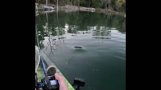 Look What Happens When He Sees My KAYAK pikefishing bassfishing fish fishing kayakfishing [upl. by Savory]