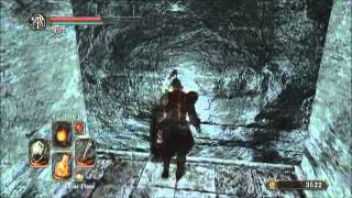 Dark Souls 2  Sentinels Treasure Hush Target Shield and Illusory Walls [upl. by Suoiluj994]