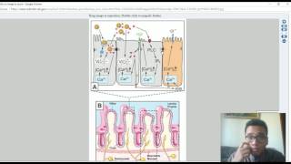 Patofisiologi Rotavirus Menyebabkan Diare [upl. by Oidiple773]