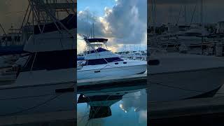 Sea boats morning walk visitflorida [upl. by Anelrac]