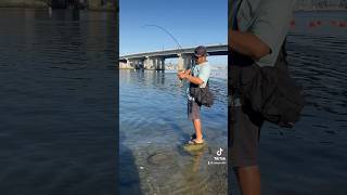 Fishing Long Beach California fish california bassfishing fishinglife [upl. by Hirsch834]