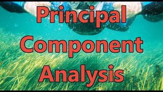 Principal Component Analysis Dimension Reduction  Intro to Artificial Intelligence [upl. by Gorrono]