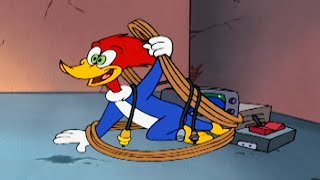 Woodys Secret MIssion  1 Hour of Woody Woodpecker Full Episodes [upl. by Mable645]