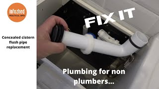 Replacing a concealed Cistern Flush Pipe [upl. by Elias363]