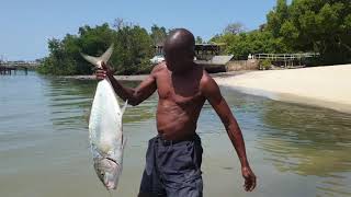 Most Unbelievable Fish In Mombasa Kenya [upl. by Gnay218]