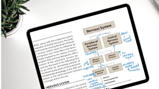 GoodNotes 5 as a PDF reader EVERYTHING you need to know [upl. by Anerev782]