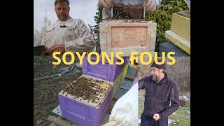 Saison 2 Épisode 37 Le 26122023 Acide Oxalique et hivernage des ruches et des miniplus [upl. by Eeryt]