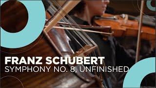 The first Romantic symphony Franz Schubert  Symphony No 8 Unfinished [upl. by Attenej]