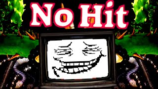 Undertale  No Hit Flowey 2 Segments [upl. by Ielerol]