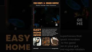 Discover the Tiny Heroes Behind Composting Magic geme gemecomposter composting kitchenscraps [upl. by Mortie673]