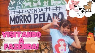 💗 VISITANDO UMA FAZENDA  FAZENDA MORRO PELADO  AGUAS DE LINDOIA 😍 [upl. by Ynnhoj]