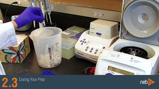 Tips for RNA Purification using the Monarch Total RNA Miniprep Kit [upl. by Adia939]