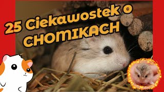 🐹 20 Ciekawostek o CHOMIKACH 🐹 Linarchie 3 [upl. by Pulcheria]