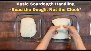 Basic Sourdough Handling  “Read the Dough Not the Clock” [upl. by Alema]