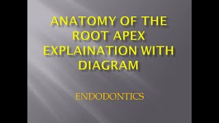 ANATOMY OF THE ROOT APEX EXPLANATION WITH DIAGRAM [upl. by Corilla]