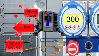 R404A Pressure Explained in Home Fridges Key Parts Functions and Troubleshooting Tips [upl. by Niroht158]