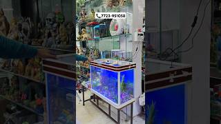 Complete Tank ✅  fishfishtankfishingfishonfishkeepingfishtanks shorts viral [upl. by Notlek513]