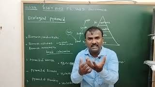 KSET EXAM 2023 P 1 Unit 9 Ecological Pyramid [upl. by Ranee784]