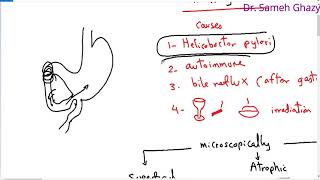 Systemic pathology 22  GIT 3  gastritis  DRSAMEH GHAZY [upl. by Arhoz]