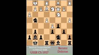 Mikhail Tal Attacked Like Crazy and The End is Fantastic Tal Legacy [upl. by Subocaj]