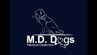 Medical Alert Dog  Bringsel Training Instructions  MD Dogs Inc [upl. by Ymot]