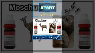 Moschus 200 drnaumanahmad homeopathy shorts viral [upl. by Roxie]