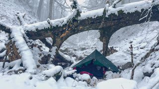 Can you survive in a blizzard and heavy snow  Camping in heavy snow under trees [upl. by Adehsar]