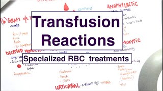 Blood Transfusion Reactions  Specialised RBC treatments  USMLE  MCQs [upl. by Hael258]