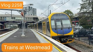 Sydney Trains Vlog 2258 Trains at Westmead [upl. by Bosch]